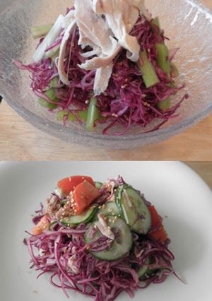 紫キャベツの醤油ドレッシング サラダ-レシピのメイン写真
