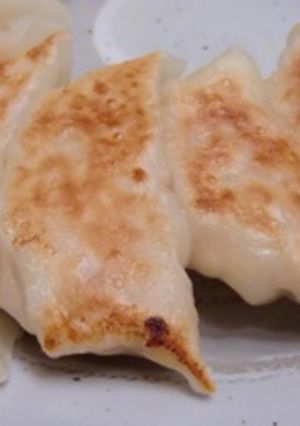 【FP】イタリアン餃子-レシピのメイン写真