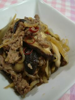 ごぼうと牛肉のピリ辛炒め-レシピのメイン写真