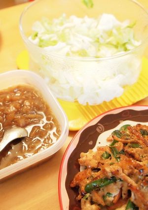 色々かけれる酢醬油ソース☆-レシピのメイン写真