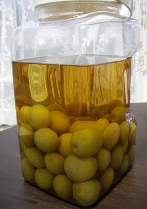 泡盛で梅酒-レシピのメイン写真