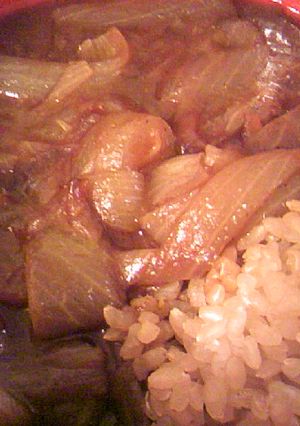 簡単：ダイエット：ルー：玉葱のみのカレー-レシピのメイン写真