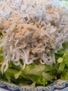 釜揚げしらす丼-レシピのメイン写真