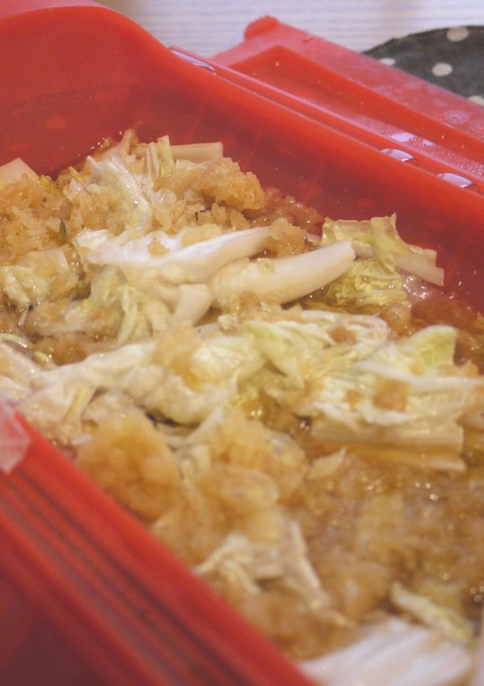 ルクエで♡白菜と天かすのさっと煮-レシピのメイン写真
