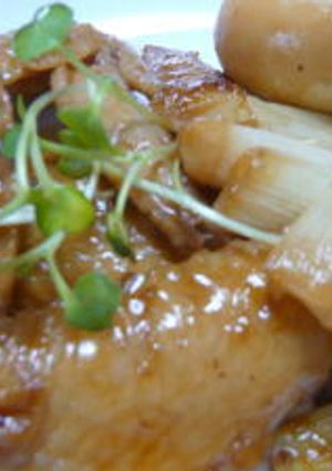 手羽と葱のスッパ煮-レシピのメイン写真