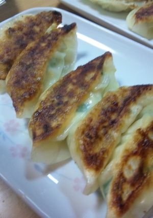 豆腐と野菜でヘルシー餃子-レシピのメイン写真