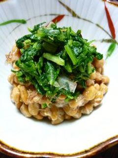 大根葉のせ納豆-レシピのメイン写真