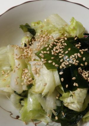 レタスと海藻のサラダ-レシピのメイン写真