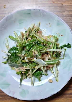 ヨウサマの減塩居酒屋風水菜のサラダ-レシピのメイン写真