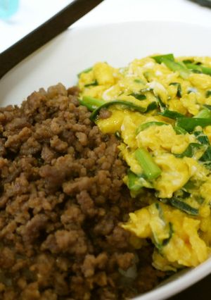 豚ひき肉・卵・ニラで２色ご飯丼-レシピのメイン写真