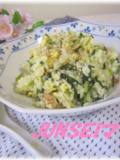 美味しいよ♫みぶな(大根葉)の混ぜご飯✿-レシピのメイン写真