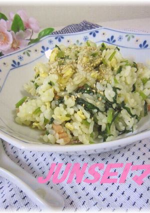 美味しいよ♫みぶな(大根葉)の混ぜご飯✿-レシピのメイン写真
