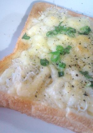 しらすﾋﾟｻﾞﾄｰｽﾄ-レシピのメイン写真