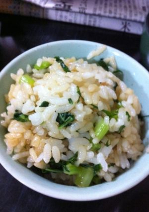 大根の葉のガーリック混ぜご飯-レシピのメイン写真