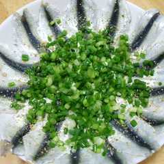รูปของ 釣り人が作るママカリ（サッパ）の酢漬け