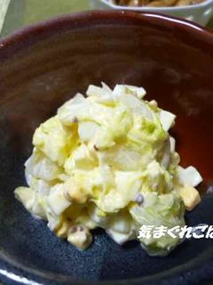 白菜と茹で卵のサラダ-レシピのメイン写真