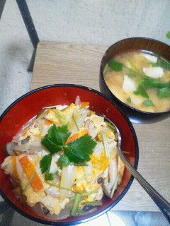 残り物で☆卵とじ丼-レシピのメイン写真