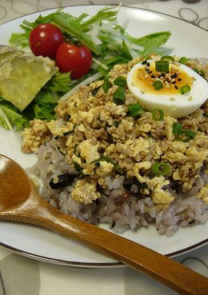 簡単・ヘルシー♪豆腐入り肉みそ丼-レシピのメイン写真
