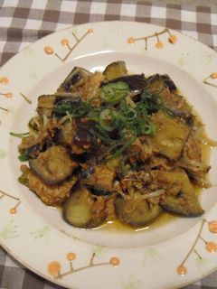 簡単☆さばの味噌煮缶&なすのモヤシ炒め-レシピのメイン写真