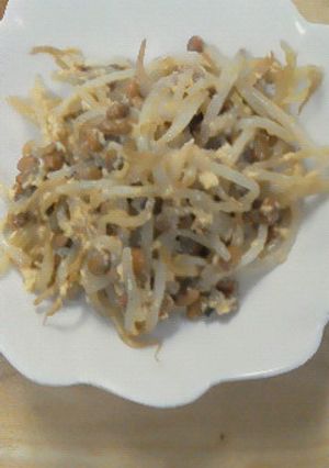 簡単もやし納豆炒め-レシピのメイン写真
