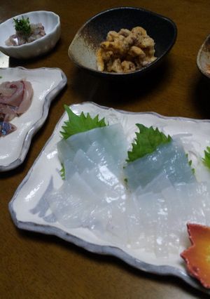 アオリイカのお刺身-レシピのメイン写真