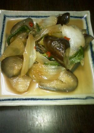 白菜と茄子のナンプラー味噌炒め-レシピのメイン写真