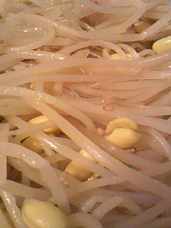 韓国料理:豆もやしのナムル-レシピのメイン写真