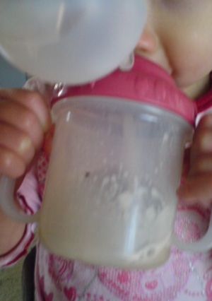 １歳児の為の～ミルクココアドリンク-レシピのメイン写真