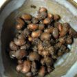 小豆の八丁味噌風