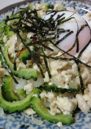 鶏挽肉とゴーヤの甘辛そぼろ丼-レシピのメイン写真