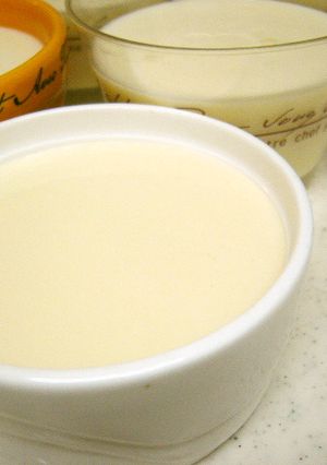 ヘルシー豆乳と豆腐のレアチーズケーキ風-レシピのメイン写真