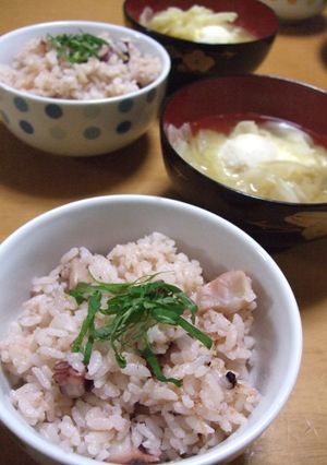 梅たこ飯-レシピのメイン写真