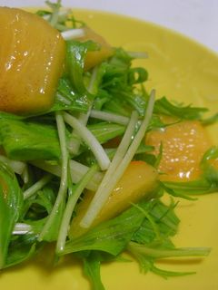 柿と水菜のサラダ-レシピのメイン写真
