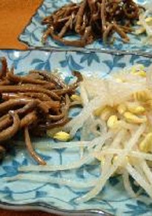 ぜんまいのナムル-レシピのメイン写真