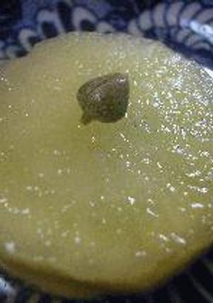 ヤーコンのさっぱり蜂蜜煮-レシピのメイン写真