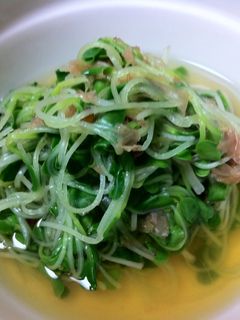 かいわれ大根の煮びたし-レシピのメイン写真