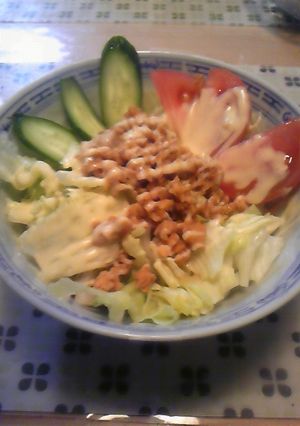 お酢・マヨのさっぱりサラダうどん♪-レシピのメイン写真
