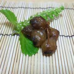 รูปของ 釣り人が作るアオリイカのクチバシの乾物
