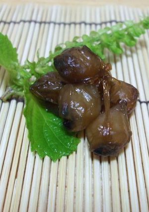 釣り人が作るアオリイカのクチバシの乾物-レシピのメイン写真