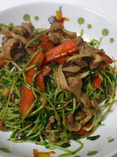 豆苗と豚肉の簡単炒め物~☆-レシピのメイン写真