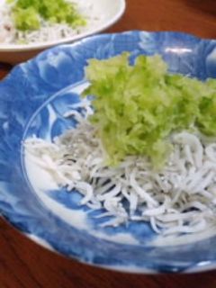 さっぱり♪しらすのおろし和え-レシピのメイン写真