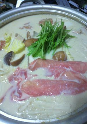 湯葉のあとは、あったか豆乳鍋♪-レシピのメイン写真