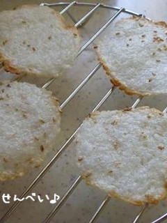 わんこ用ごはんdeせんべい♪-レシピのメイン写真