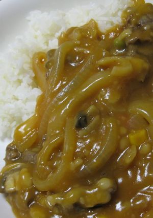 ヘルシーハヤシライス-レシピのメイン写真