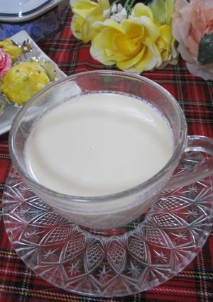 酒かす＆レモンティー粉末のホットドリンク-レシピのメイン写真