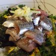 新鮮 いわし丼