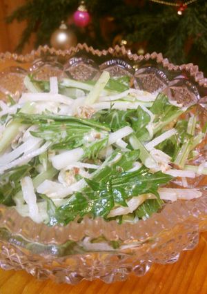 ☺水菜と大根のお手軽サラダ☺-レシピのメイン写真