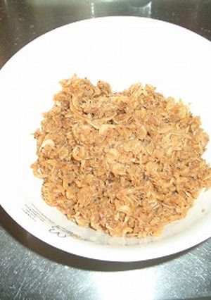アミエビの佃煮-レシピのメイン写真