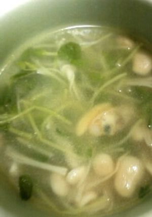 豆苗とえのきのスープ-レシピのメイン写真