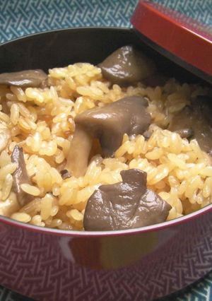 ヒラタケご飯♪キノコご飯おいしく炊くコツ-レシピのメイン写真
